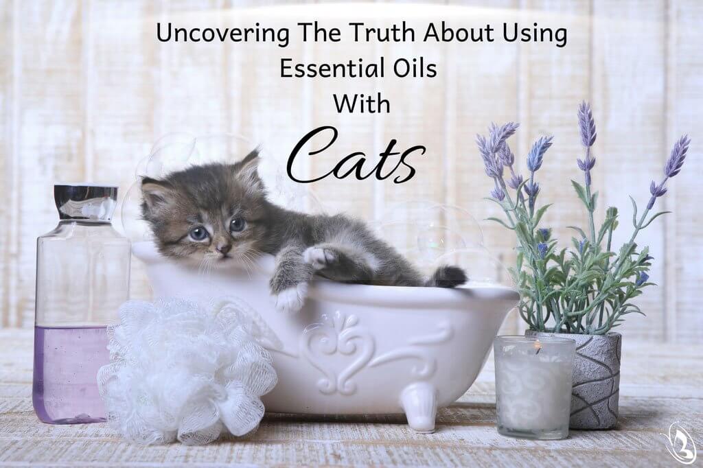 Is lemongrass oil safe for cats?